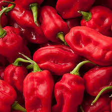Scotch bonnet peppers