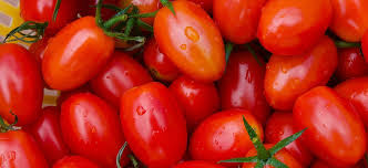 Fresh tomatoes
